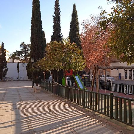 Lovely Apartment In The Centre Wifi Granada Exterior foto