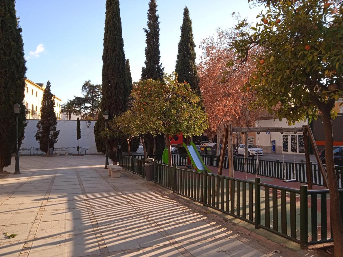 Lovely Apartment In The Centre Wifi Granada Exterior foto
